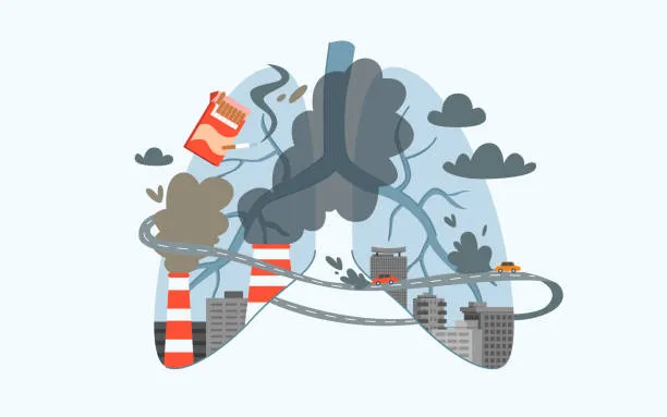 تاثیر آلودگی هوا بر سلامت قلب + 5 راهکار کاهش تأثیر آلودگی هوا 12 نتیجهگیری تاثیر آلودگی هوا بر سلامت قلب