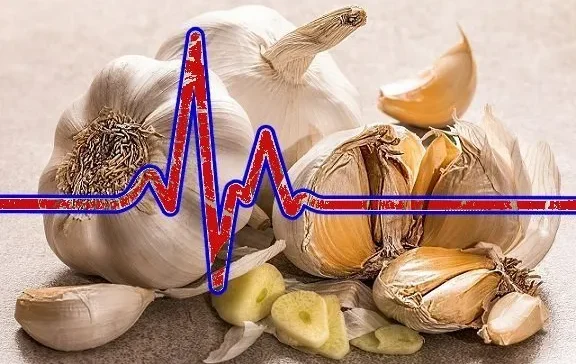 سین سلامت قلب و عروق کدام است: سیر، طلای سفید برای قلب شما 78 سین سلامت قلب و عروق کدام است: سیر، طلای سفید برای قلب شما