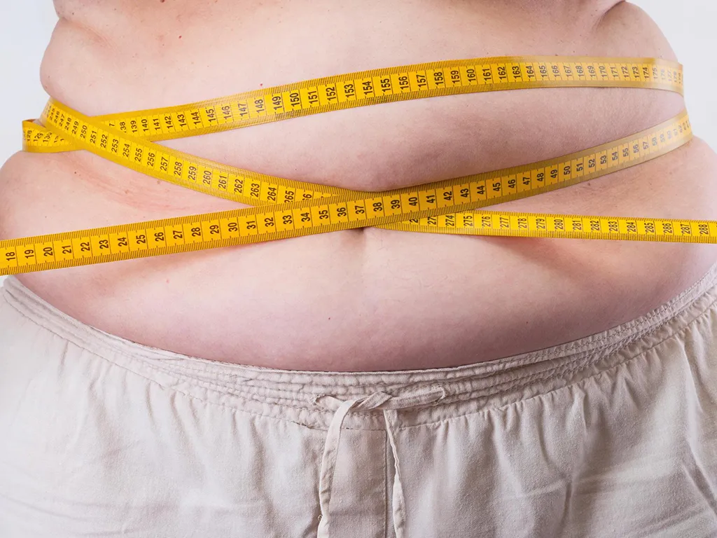 خطرات چاقی برای سلامت قلب 2 خطرات چاقی برای سلامت قلب